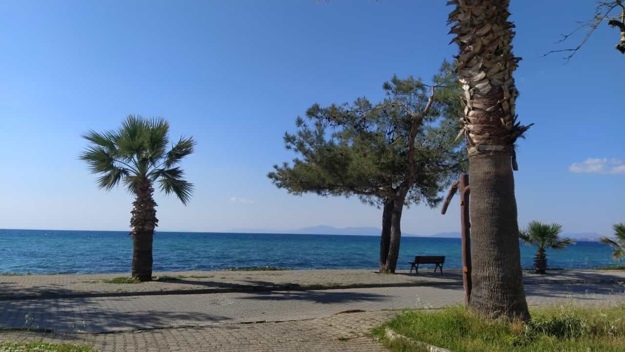 Photo of Others in Guzelcamli