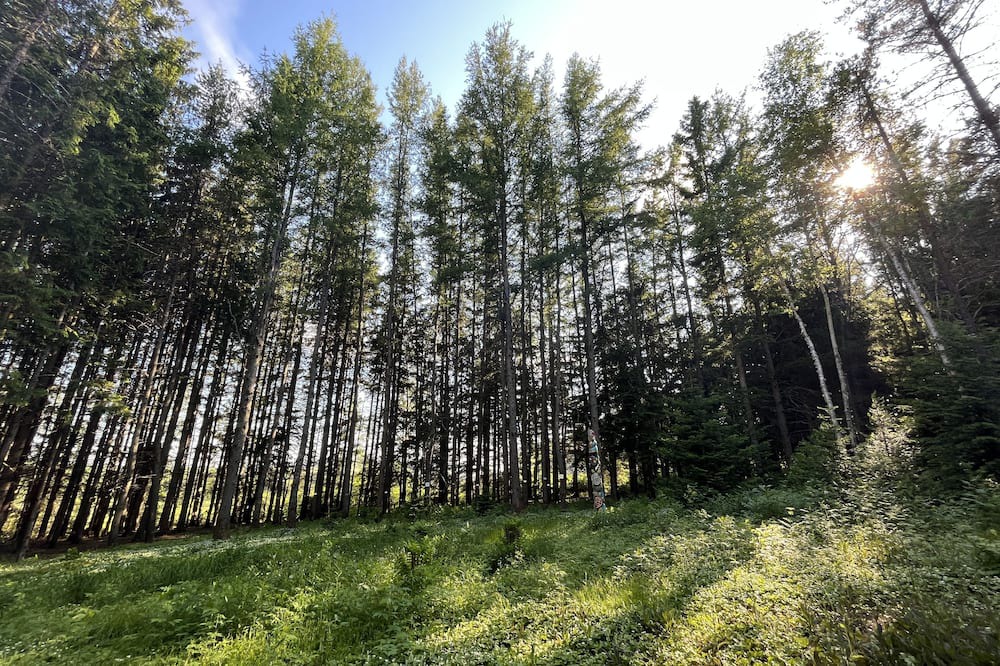 Photo of Outdoor in Saint-Tite-des-Caps