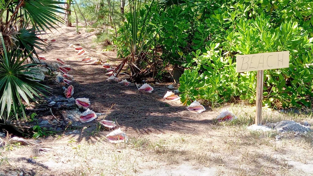 Photo of Outdoor in Rainbow Bay