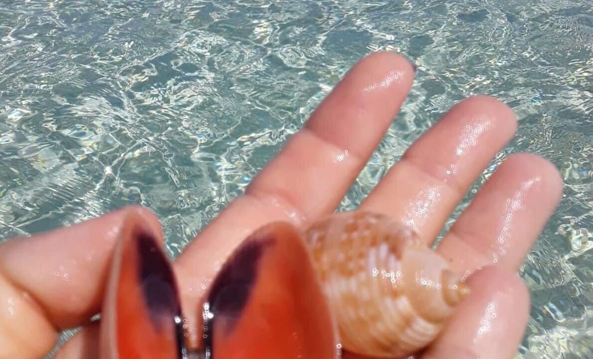 Photo of Others in Rainbow Bay