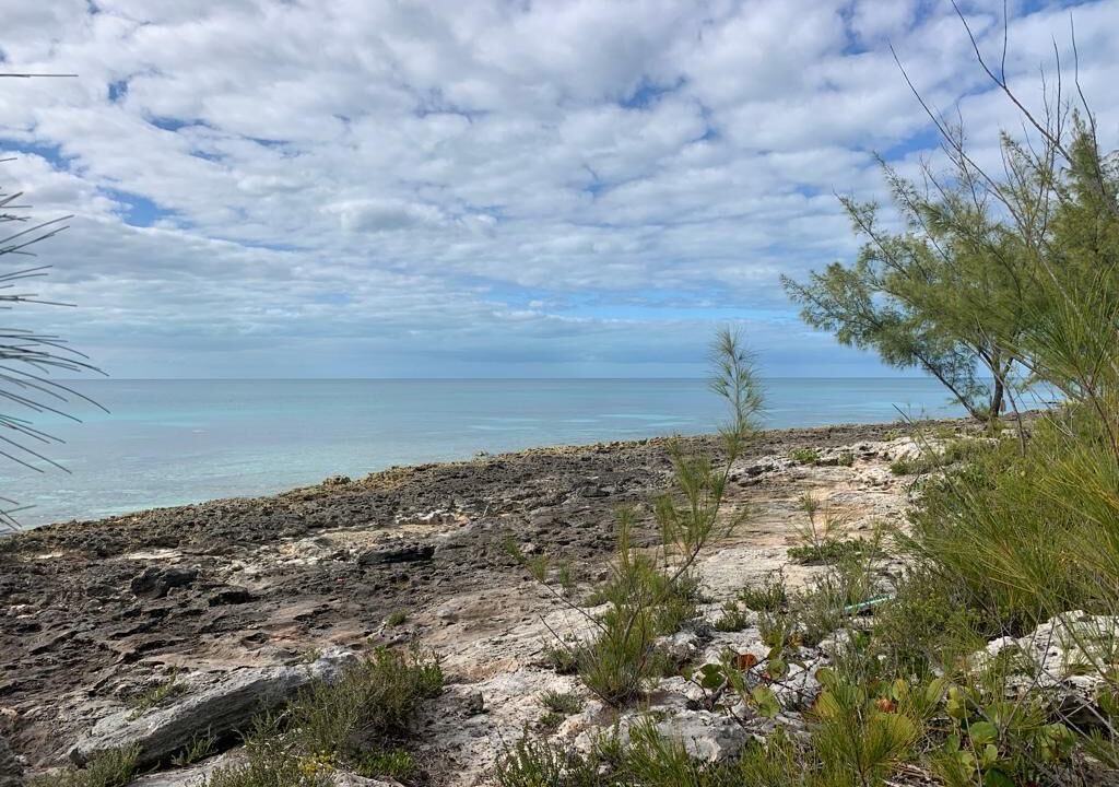 Photo of Outdoor in Rainbow Bay