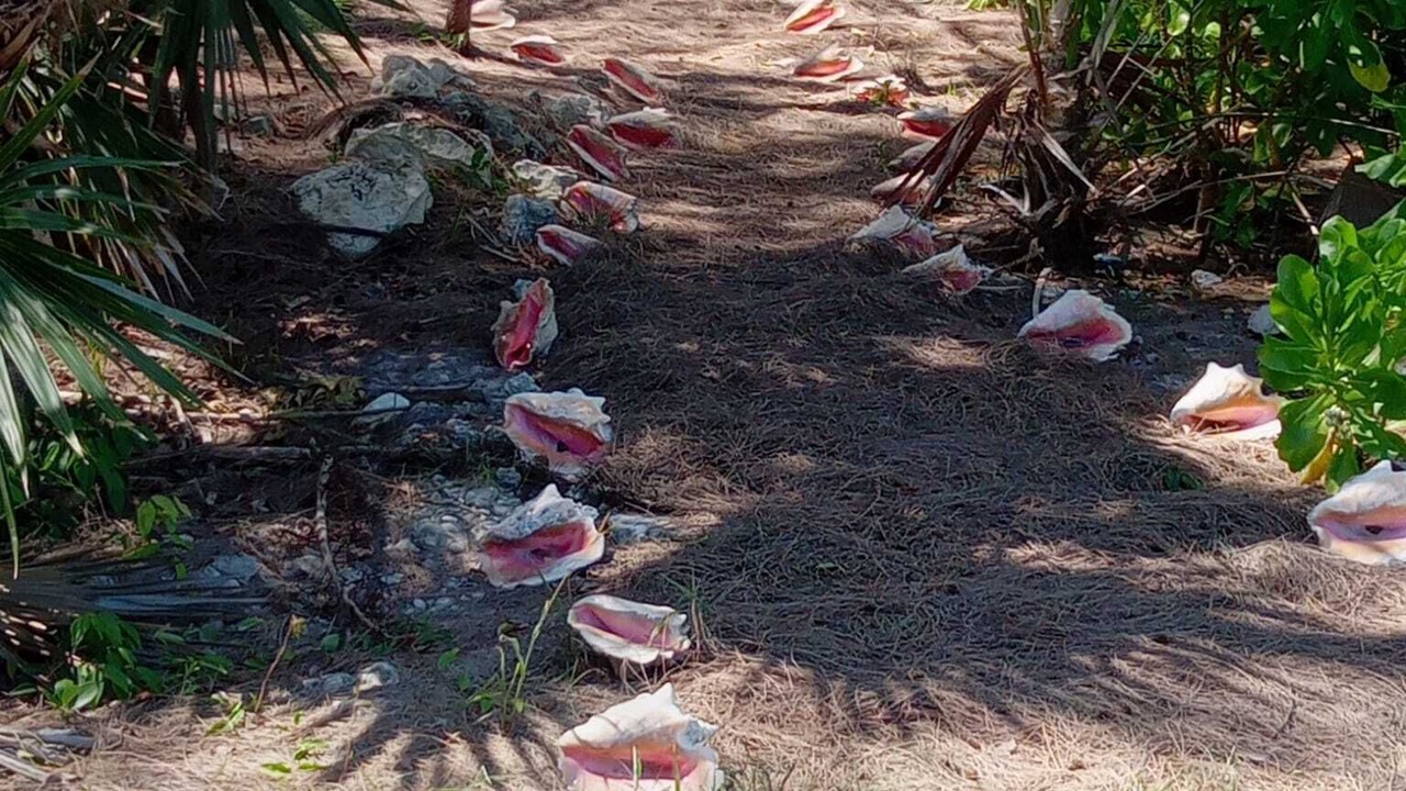 Photo of Outdoor in Rainbow Bay