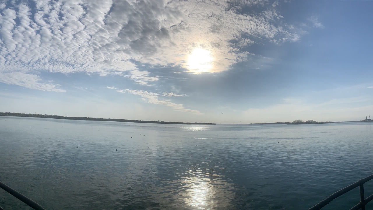 Photo of Others in Buffalo