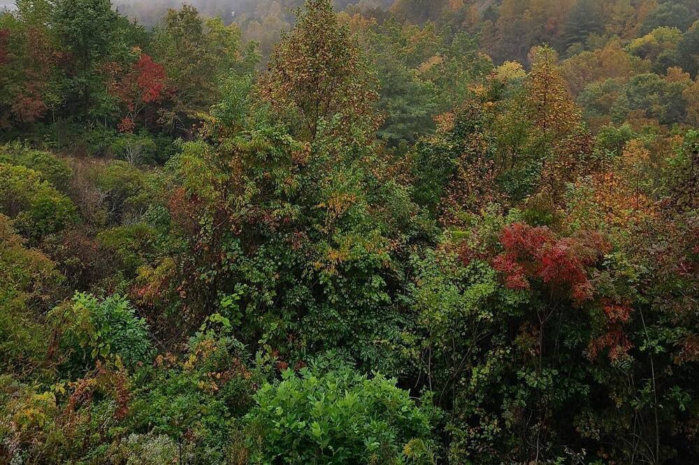Photo of Outdoor in Andrews