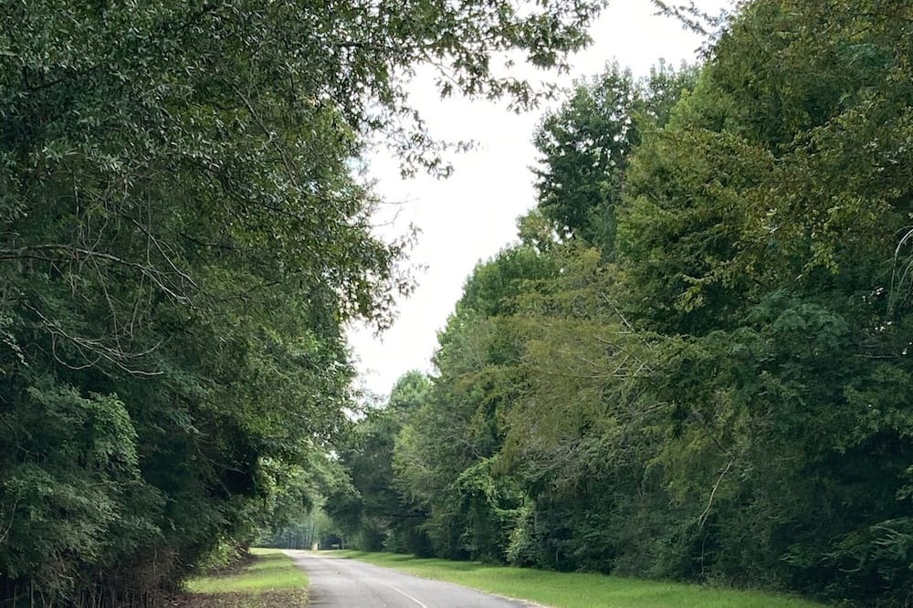 Photo of Outdoor in Minter