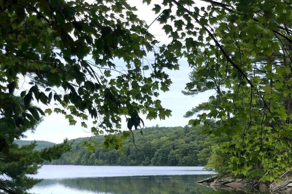 Photo of Outdoor in Monroe