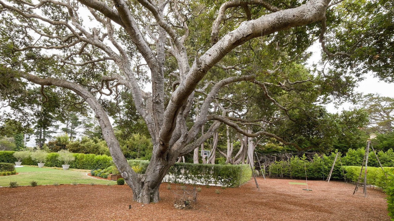 Photo of Outdoor in Hatton Fields