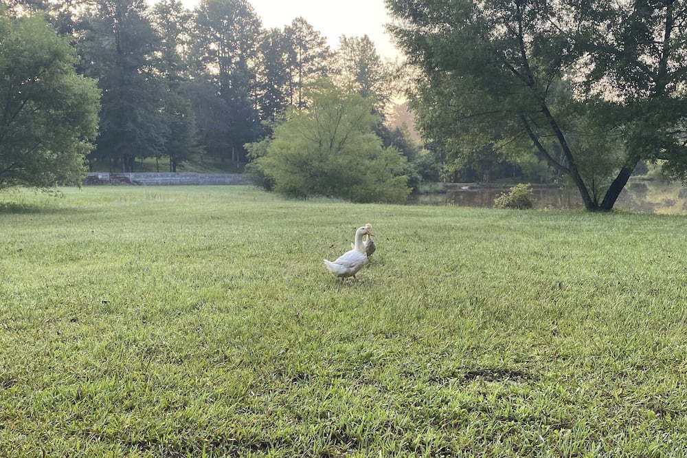 Photo of Outdoor in Columbiana
