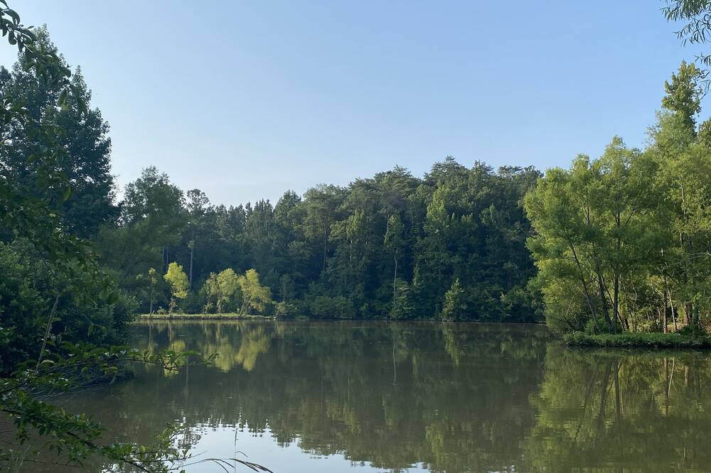 Photo of Outdoor in Columbiana