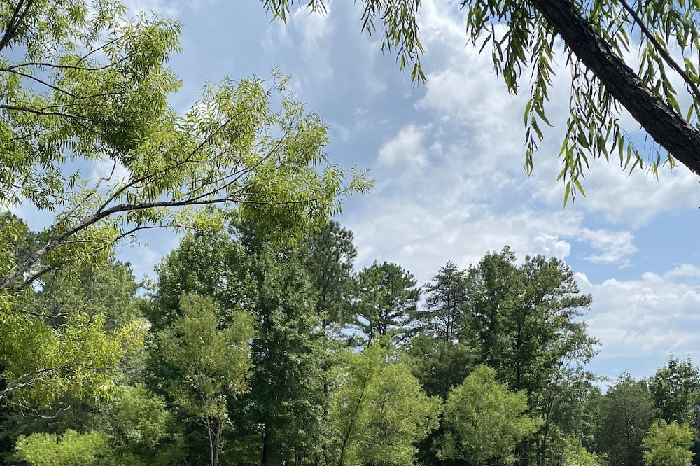 Photo of Outdoor in Columbiana