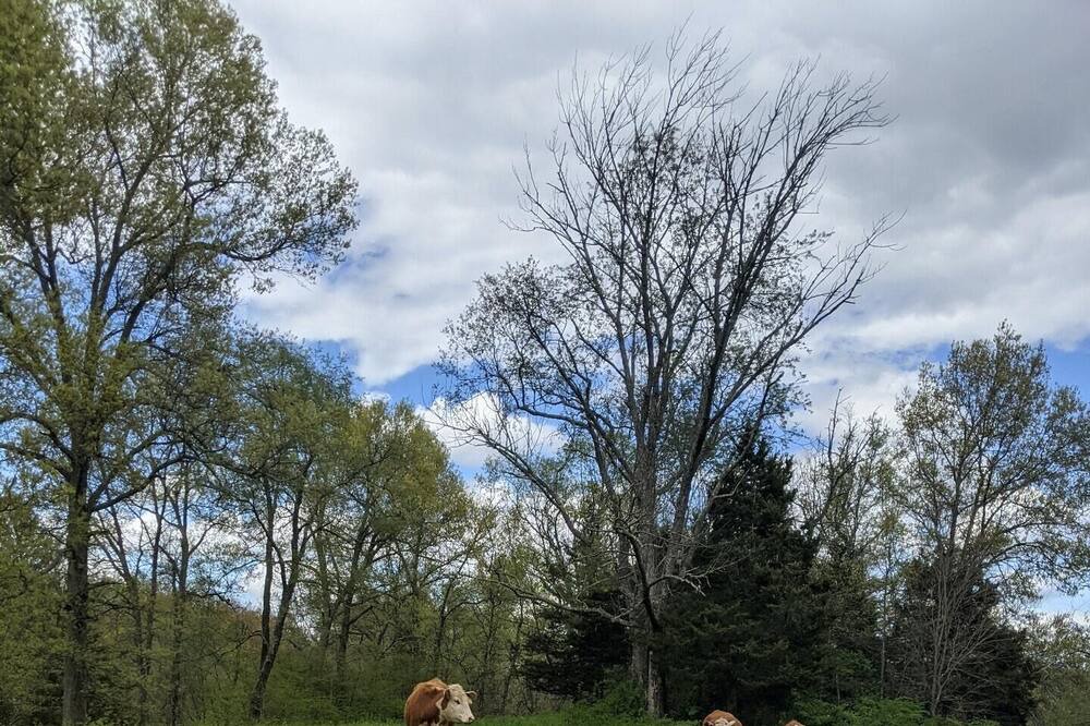 Photo of Others in Walden