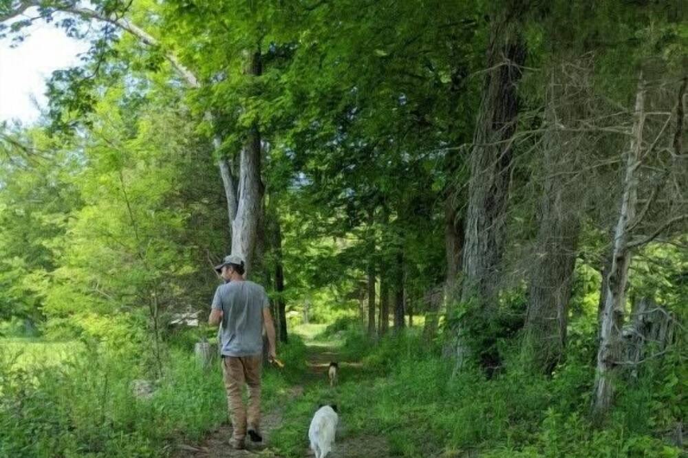 Photo of Others in Walden