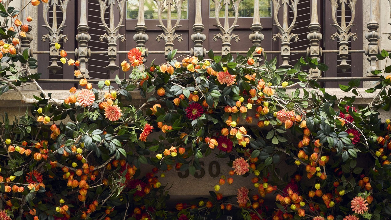 Photo of Outdoor in Esquerra de l'Eixample