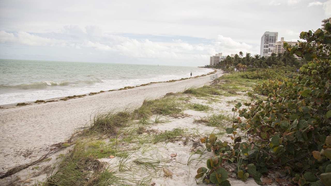Photo of Others in Key Biscayne