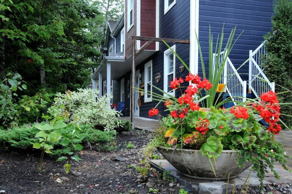 Photo of Outdoor in L'Anse-Saint-Jean