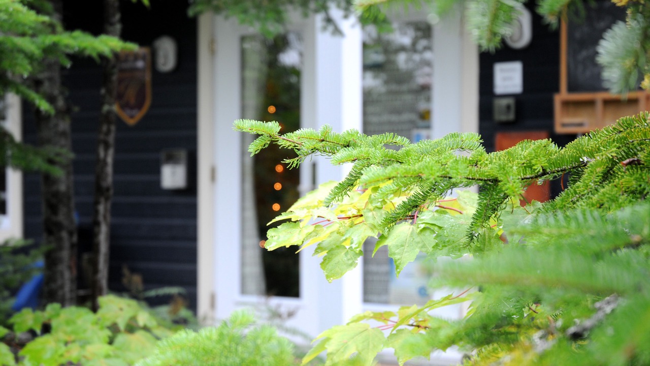 Photo of Outdoor in L'Anse-Saint-Jean