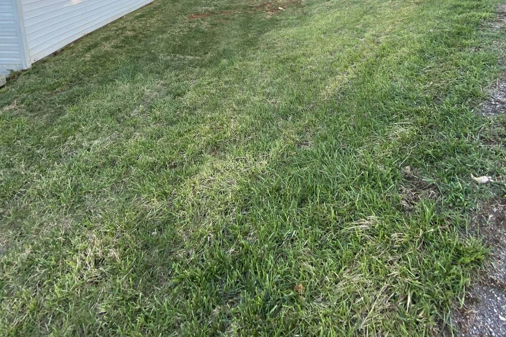 Photo of Outdoor in Erwin