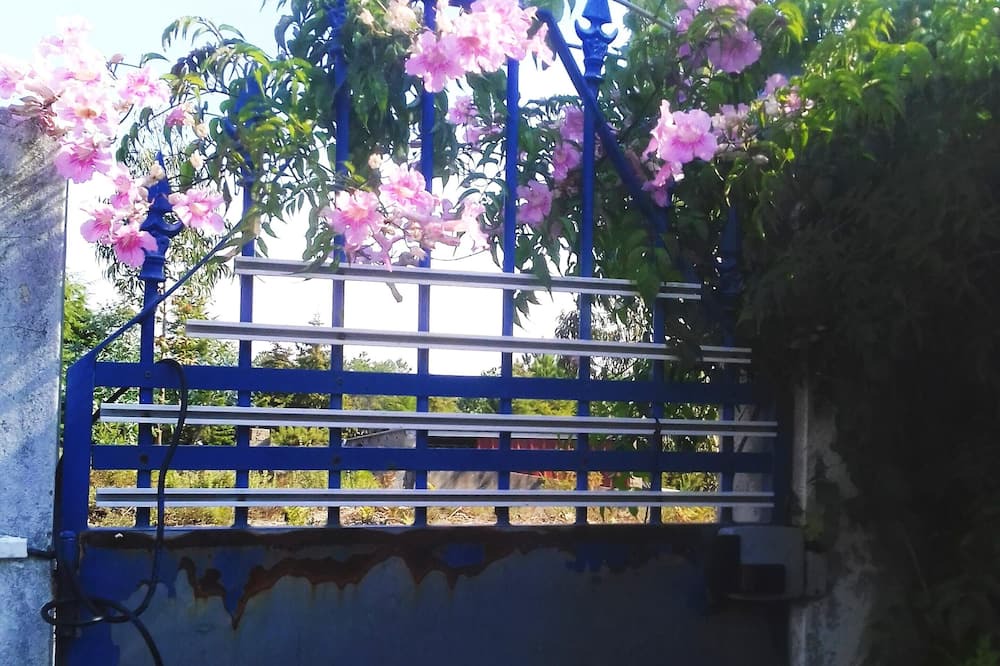 Photo of Outdoor in Nazare