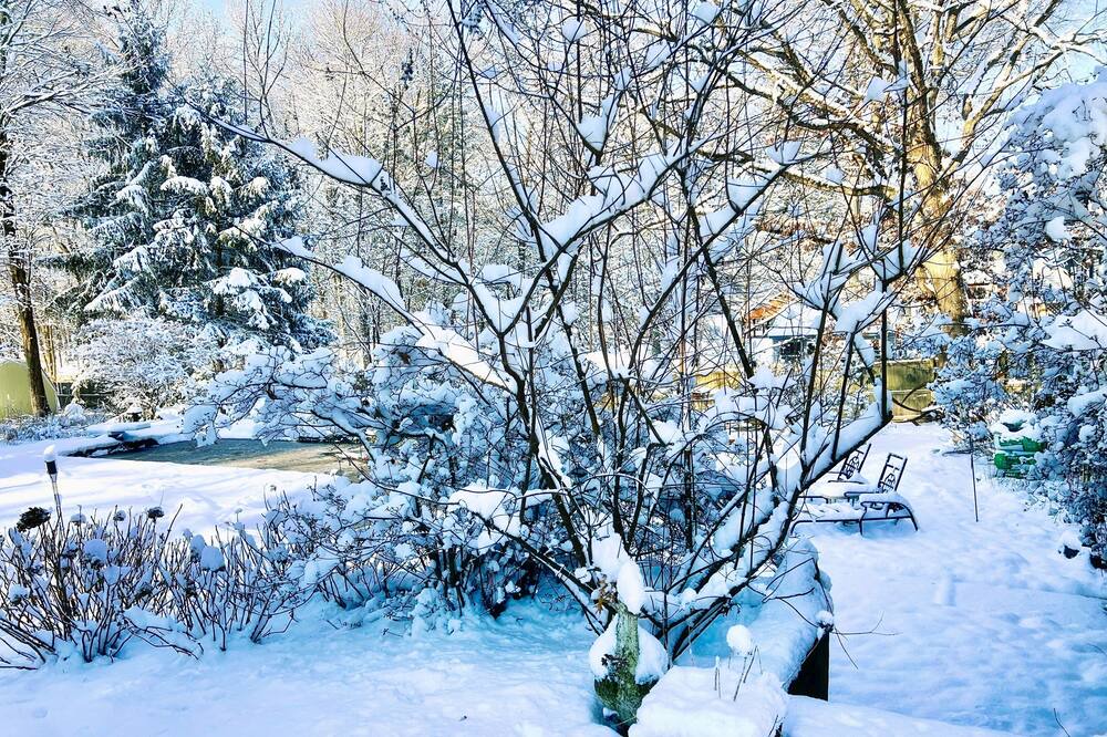 Photo of Outdoor in Edison