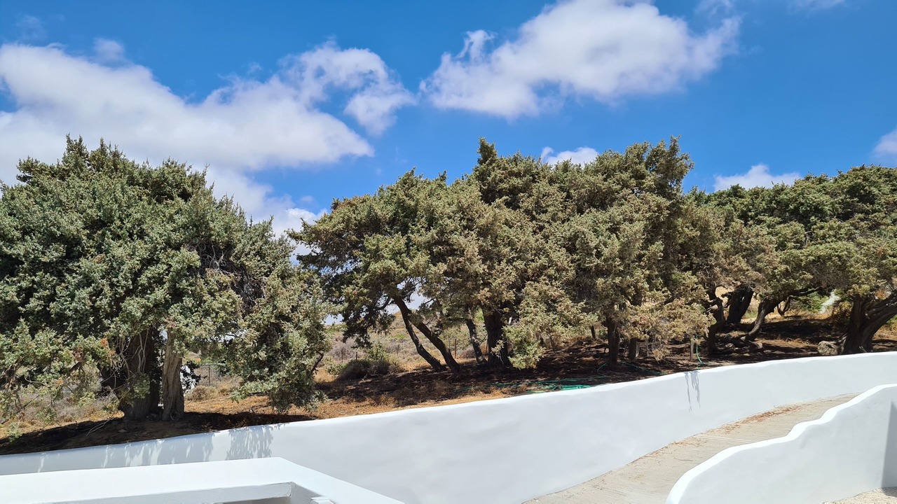 Photo of Outdoor in Maragas