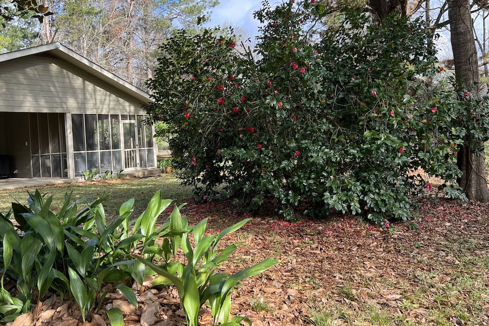 Photo of Outdoor in McComb