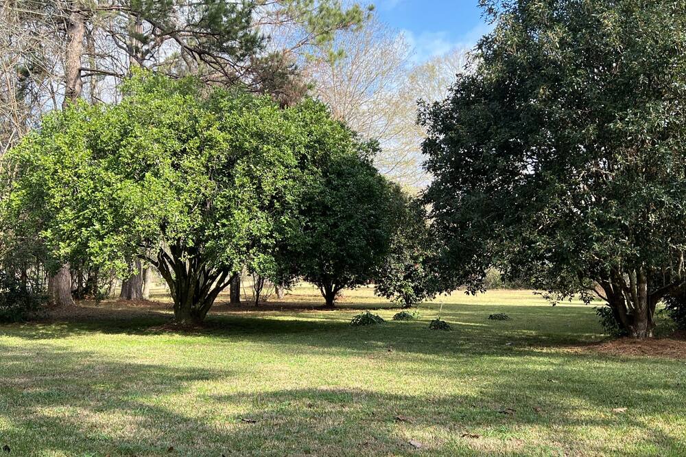 Photo of Outdoor in McComb