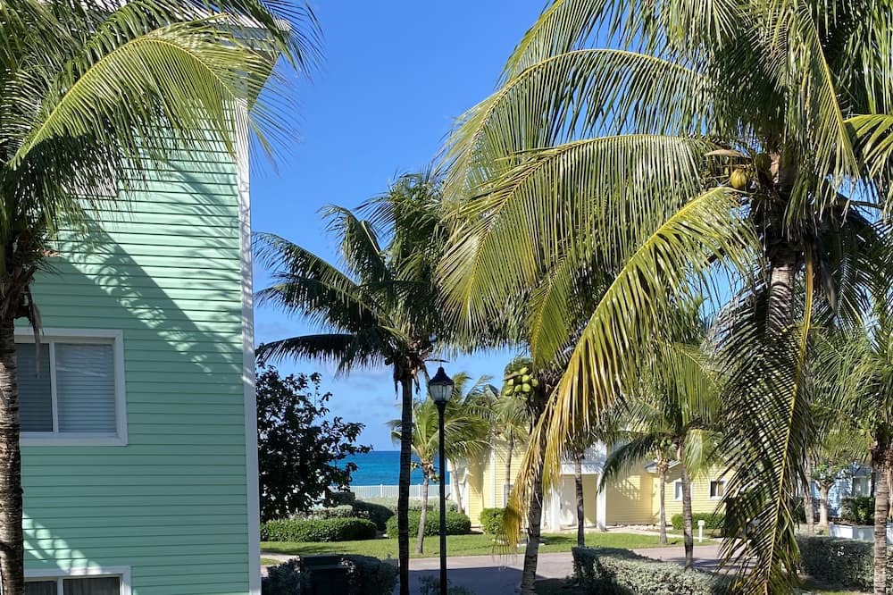 Photo of Outdoor in Alice Town