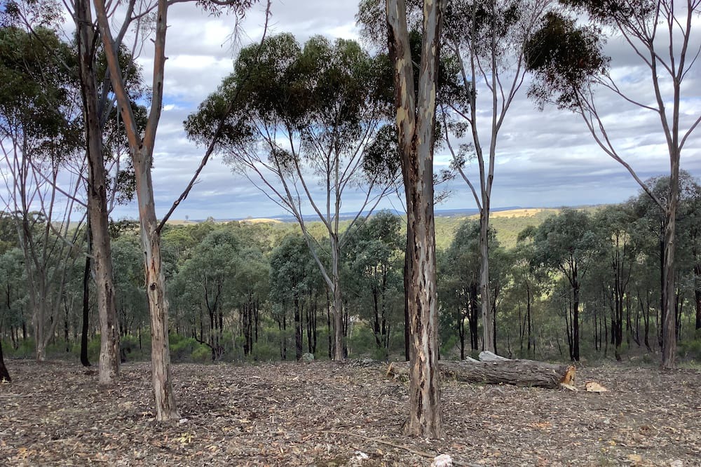 Photo of Outdoor in Eppalock