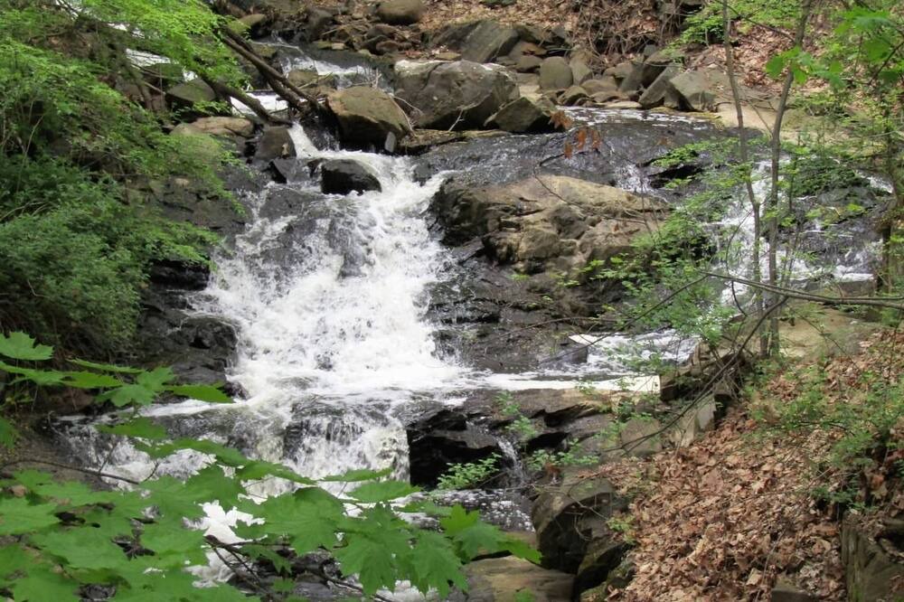 Photo of Outdoor in Tarrytown