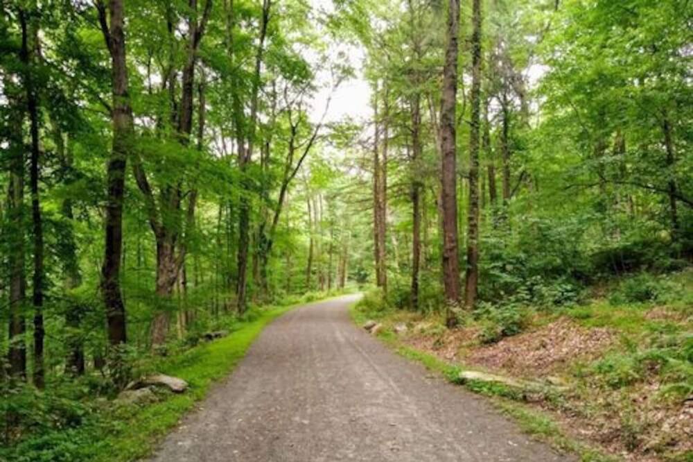 Photo of Outdoor in Tarrytown