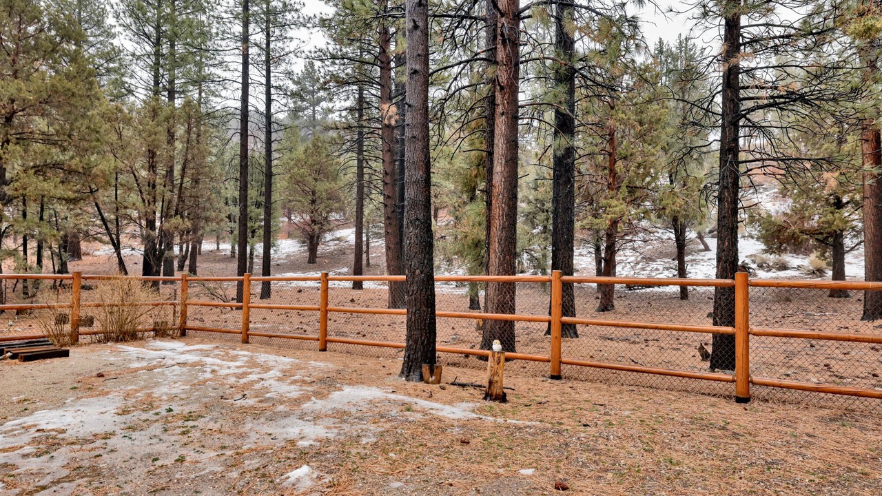 Photo of Outdoor in Woodlands