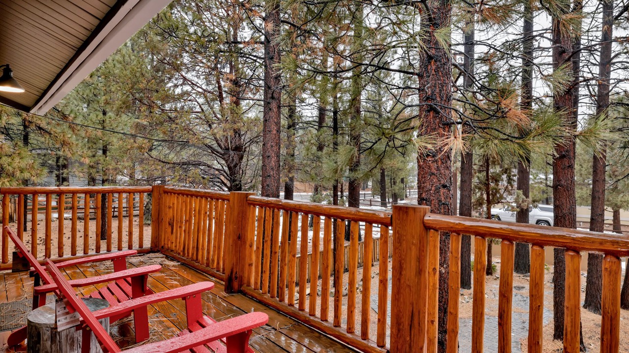 Photo of Outdoor in Woodlands