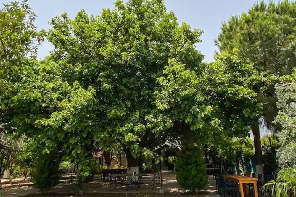 Photo of Outdoor in Cirali