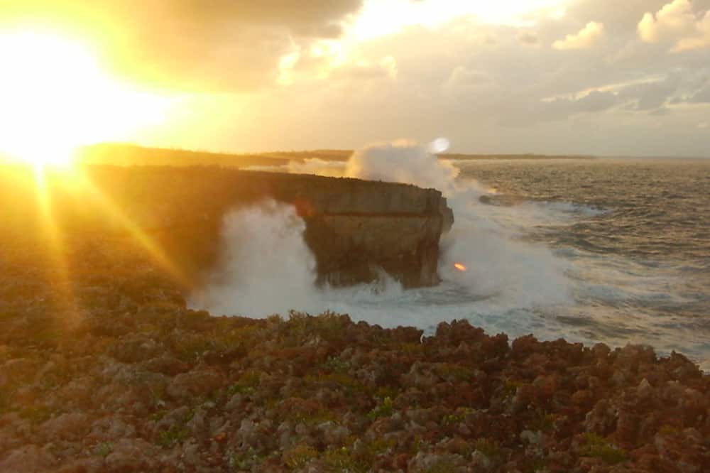 Photo of Others in North Palmetto Point