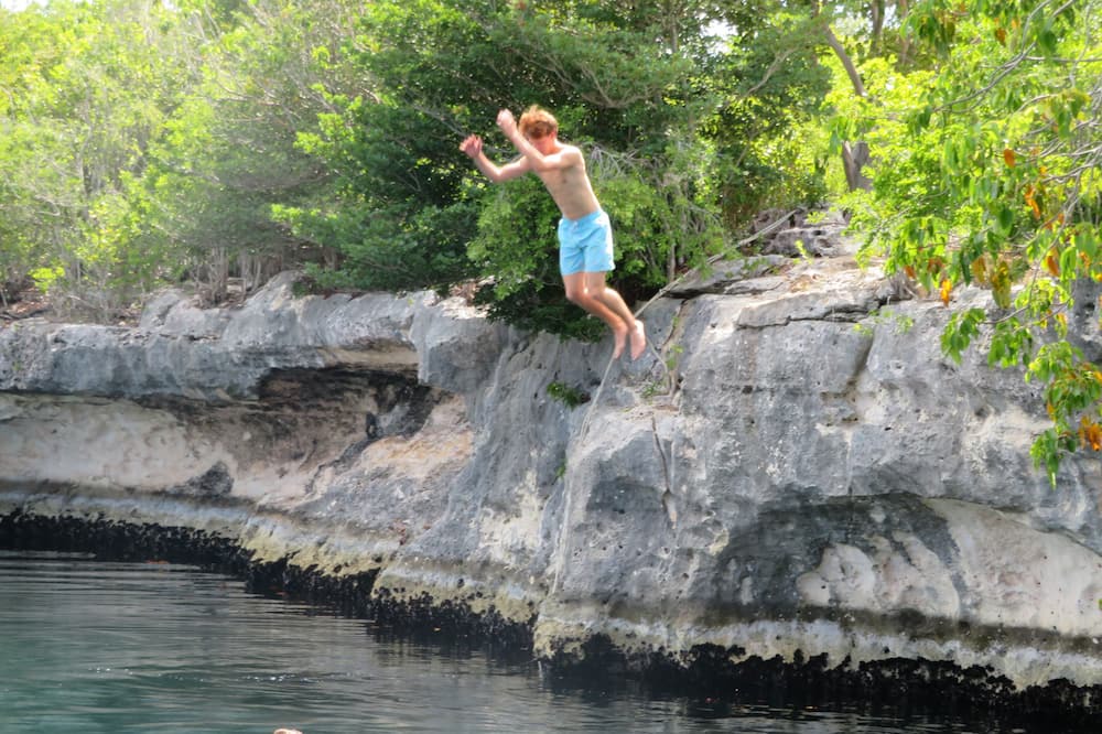 Photo of Others in North Palmetto Point
