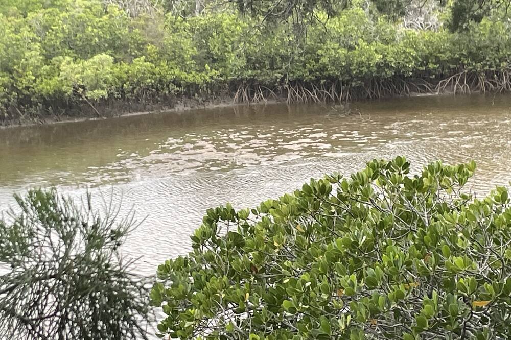 Photo of Others in Coonarr