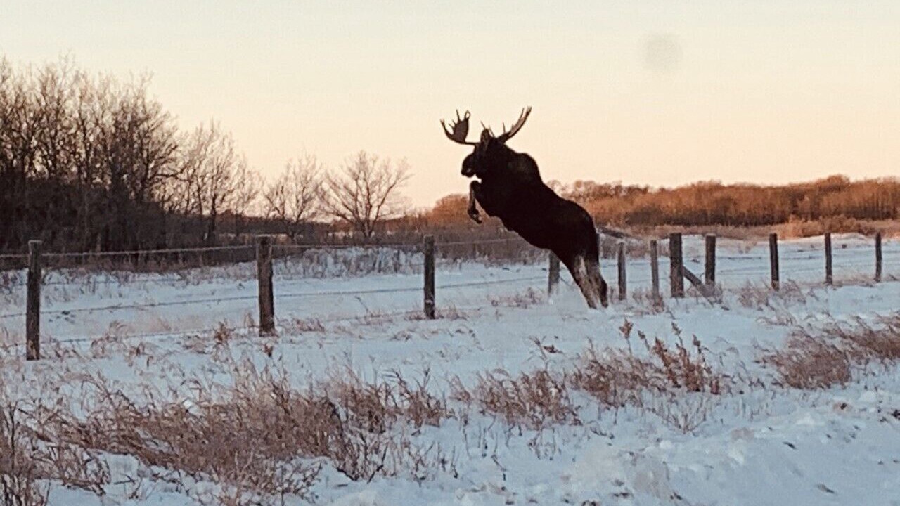 Photo of Others in Edmundston