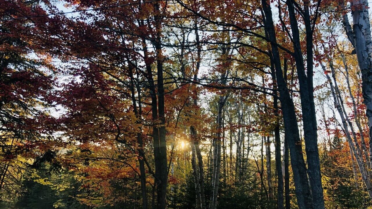 Photo of Outdoor in Edmundston
