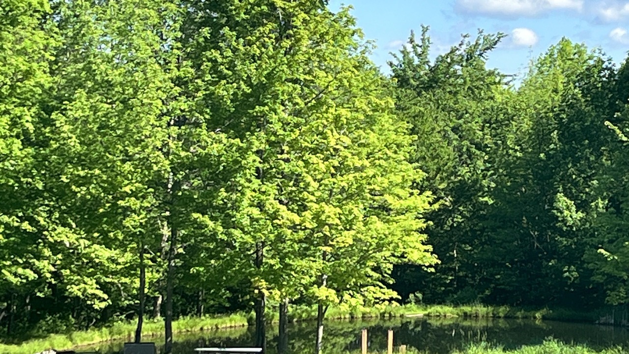 Photo of Outdoor in Andover