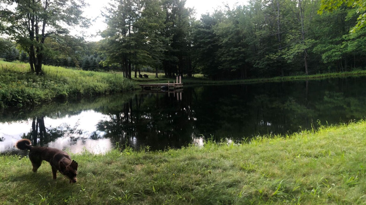 Photo of Outdoor in Andover