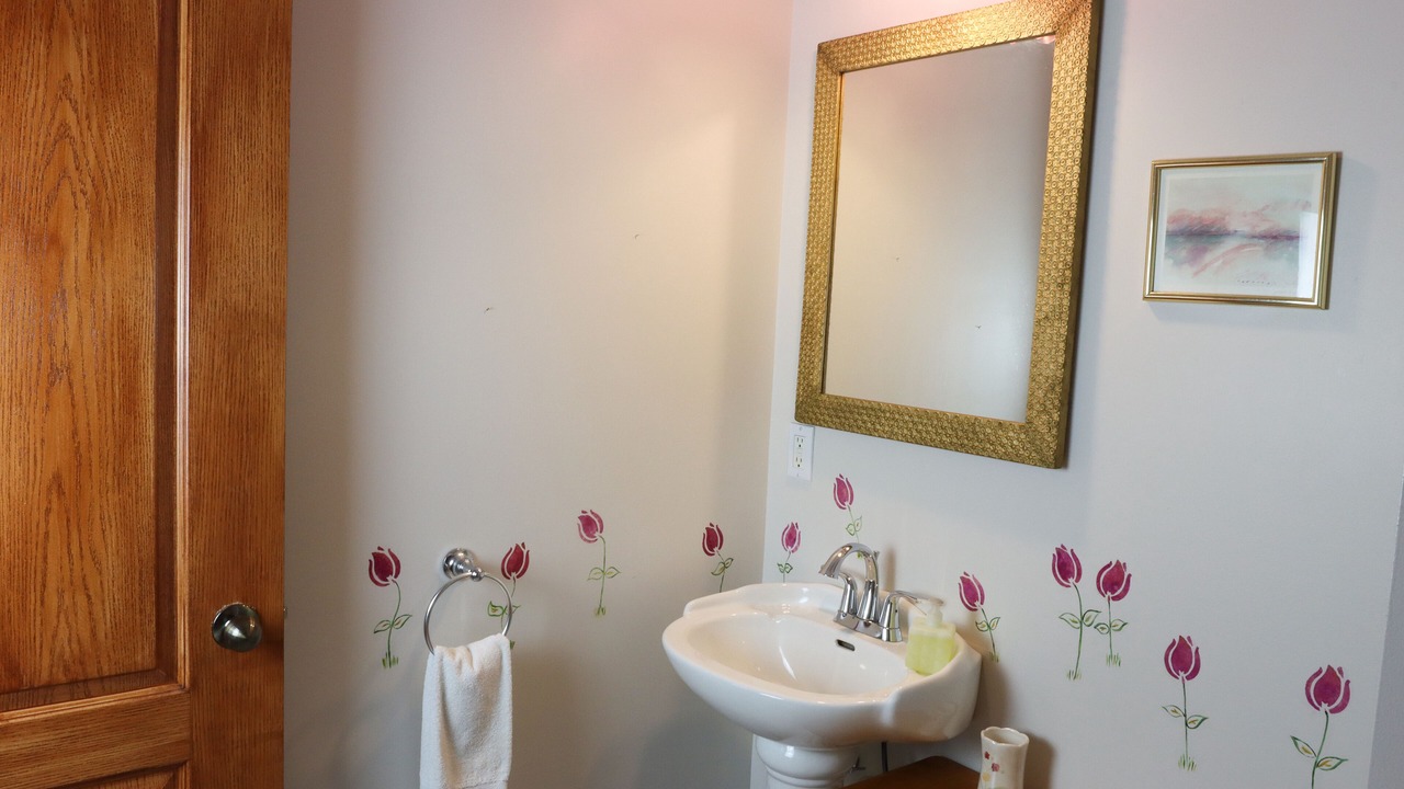 Photo of Bathroom in Boischatel