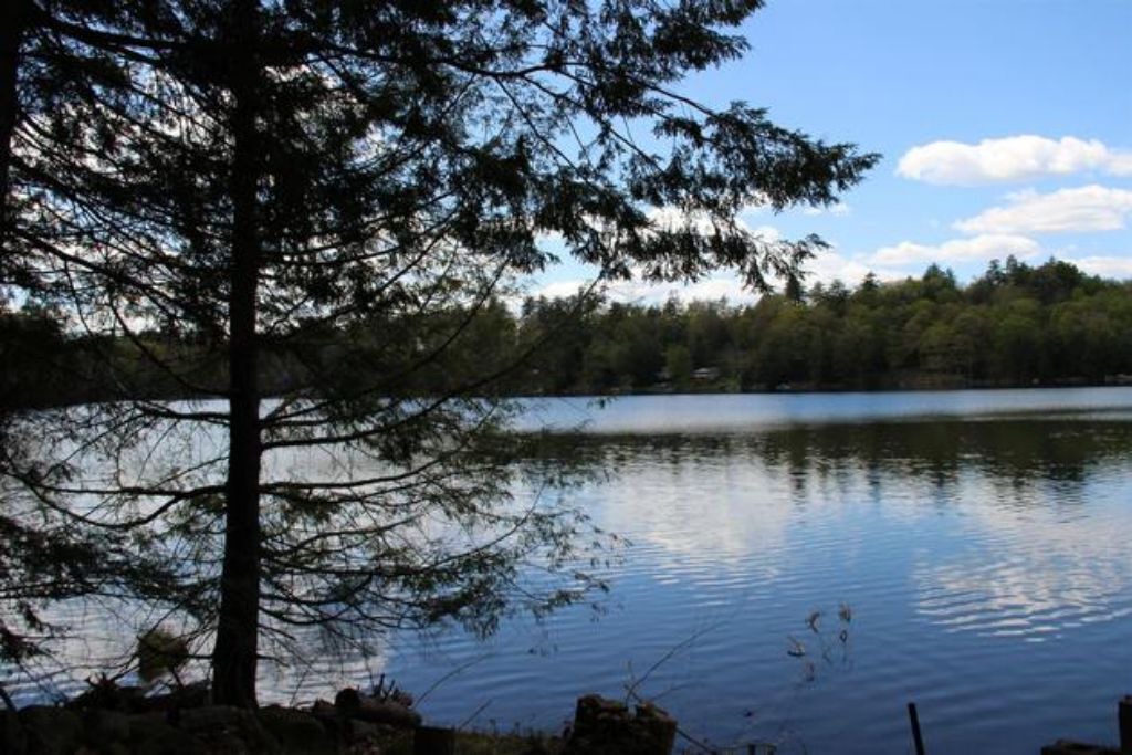 Photo of Outdoor in Putnam Valley