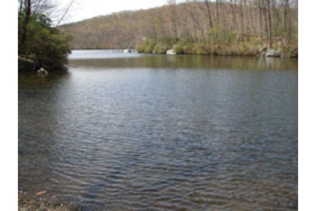 Photo of Outdoor in Putnam Valley
