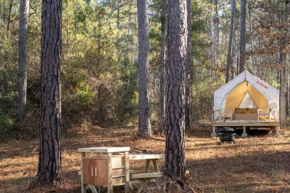 Photo of Others in Quitman