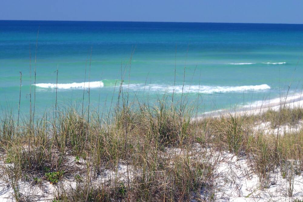 Photo of Others in East Pensacola Heights