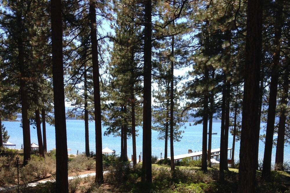 Photo of Others in Zephyr Cove