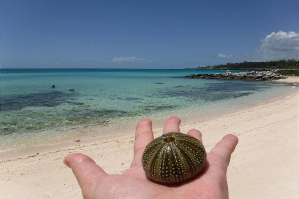 Photo of Outdoor in Rainbow Bay