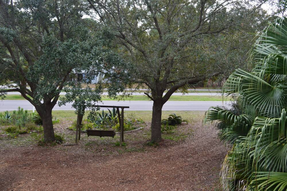Photo of Outdoor in Dauphin Island