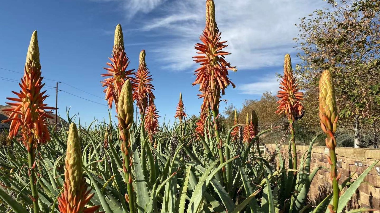 Photo of Outdoor in Colton