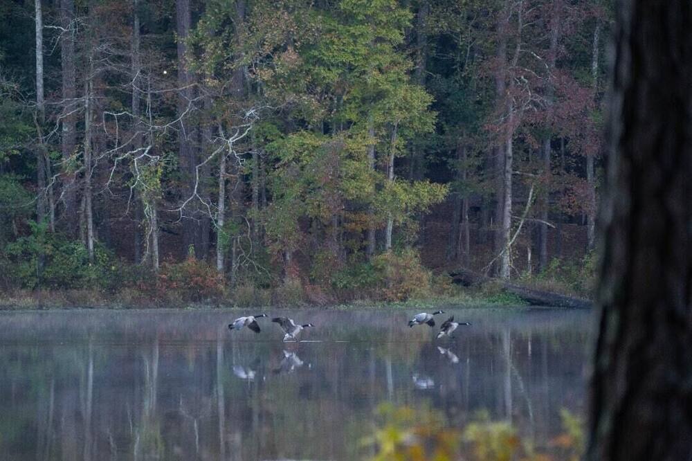 Photo of Others in Morton